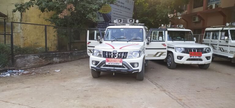 सरकारी वाहनों के उपयोग पर प्रतिबंध