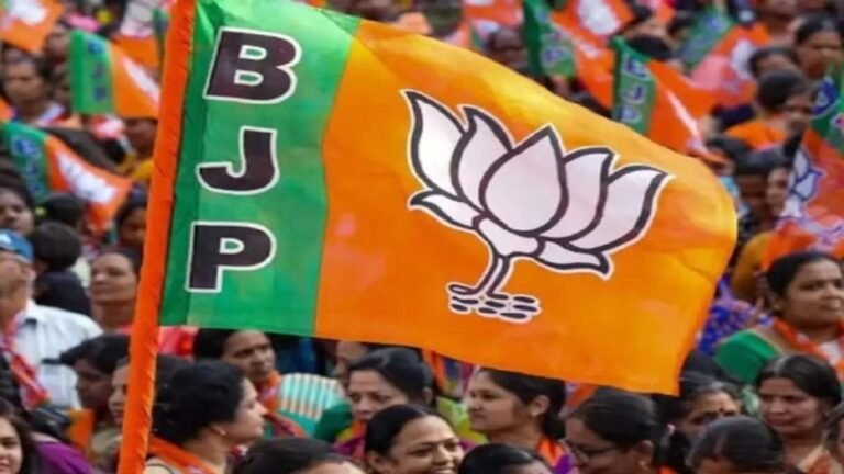 BJP की सदस्यता अभियान पर वर्चुअल बैठक: सीएम साय और प्रदेश अध्यक्ष सिंहदेव सहित संगठन के प्रमुख नेता हुए शामिल