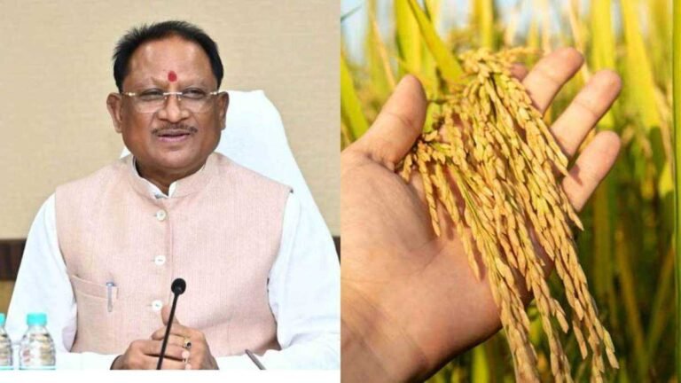 CG Dhan Kharidi: छत्तीसगढ़ में आज से धान खरीदी की शुरुआत, CM साय ने कहा – किसानों का हर दाना खरीदा जाएगा, भुगतान 72 घंटे में…
