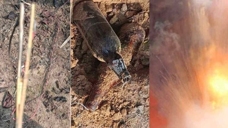 IEDs Recovered: नक्सलियों की नई साजिश, बीयर बॉटल में आईईडी प्लांट, जवानों ने 2 आईईडी बरामद कर किया नष्ट…