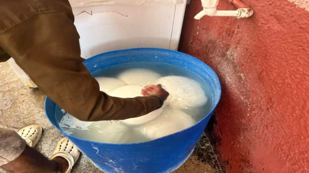 Fake Paneer Factory Busted