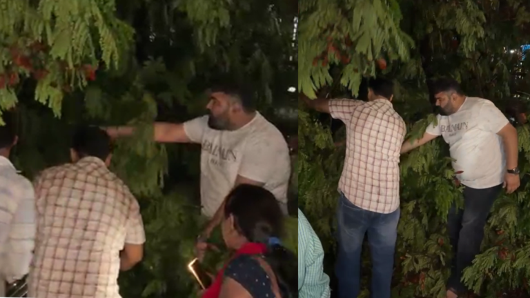 Heavy rain damage in Raipur